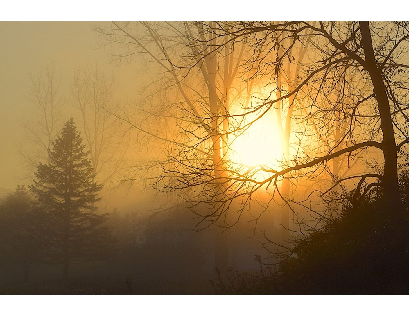sunrise-2985143_1920